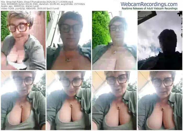 stripchat-pumabionda-06-17-2025-14-36-08