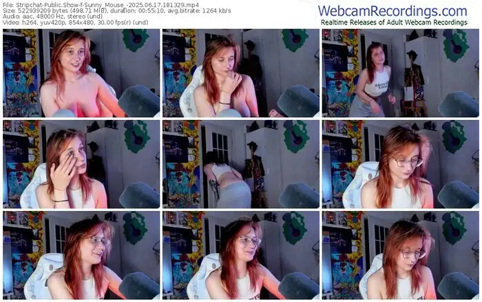 stripchat-sunny_mouse_-06-17-2025-18-13-29