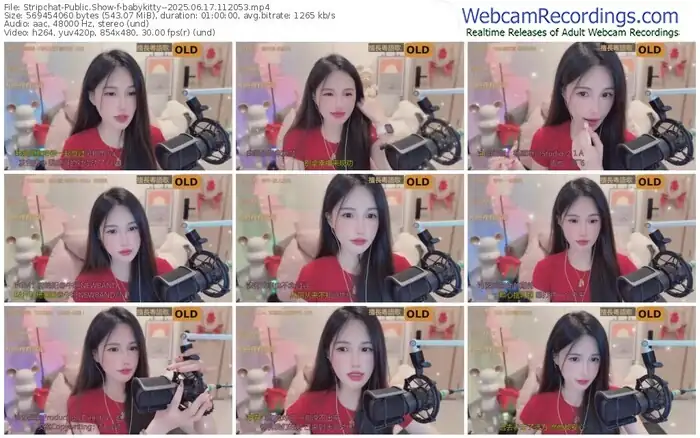 stripchat-babykitty--06-17-2025-11-20-53