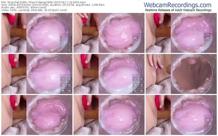 stripchat-danigirl866-06-17-2025-21-30-06