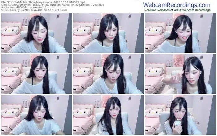 stripchat-suyaoyao-x-06-17-2025-01-05-43