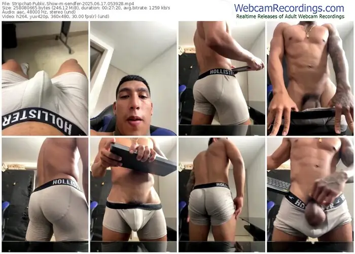stripchat-sendfer-06-17-2025-05-39-28