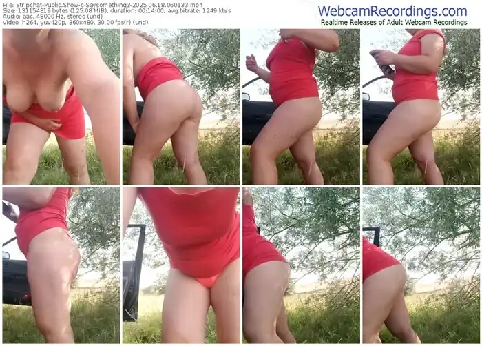 stripchat-saysomething3-06-18-2025-06-01-33