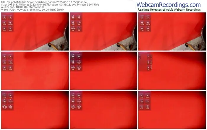 stripchat-michael_hanna-06-18-2025-10-55-05