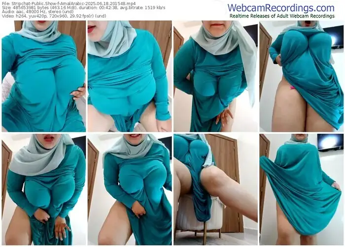 stripchat-amalarabic-06-18-2025-20-15-48