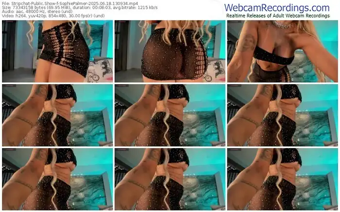 stripchat-sophiepalmer-06-18-2025-13-09-34