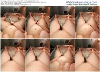 stripchat-bigirl1979-06-18-2025-13-45-30