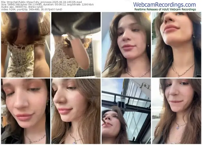 stripchat-shy_priincess-06-18-2025-16-53-35