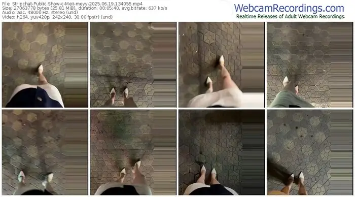 stripchat-meii-meyy-06-19-2025-13-40-55
