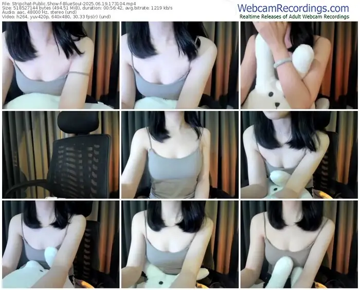 stripchat-bluesoui-06-19-2025-17-31-04
