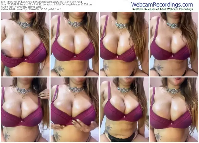 stripchat-wildbitchfucks-06-19-2025-21-55-02