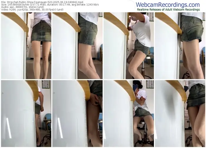 stripchat-penquan-520-06-19-2025-04-08-42