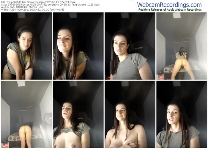 stripchat-waspy-06-19-2025-02-43-24