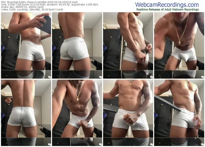 stripchat-sendfer-06-19-2025-03-32-19