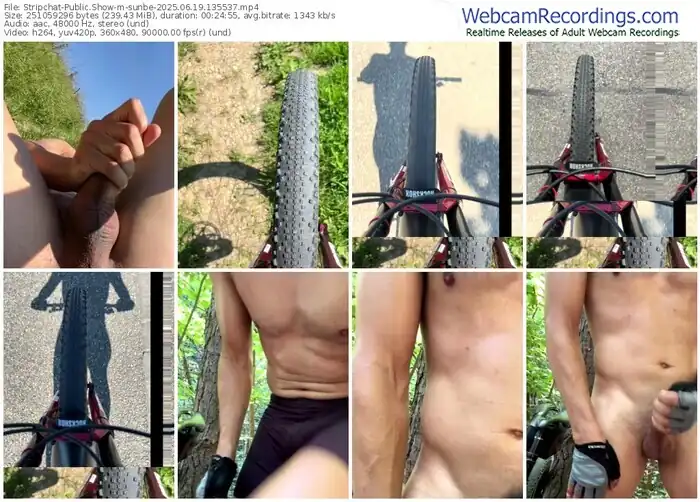 stripchat-sunbe-06-19-2025-13-55-37