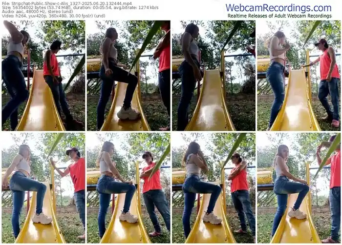 stripchat-alis_1327-06-20-2025-13-24-44