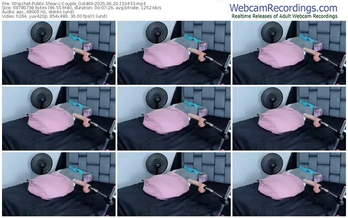 stripchat-couple_gold69-06-20-2025-11-04-33