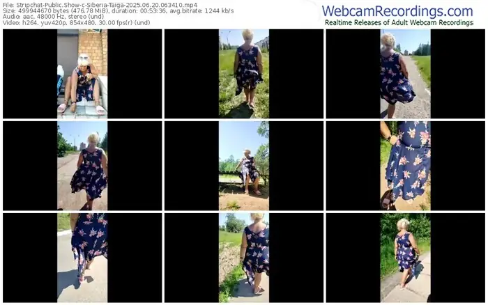 stripchat-siberia-taiga-06-20-2025-06-34-10