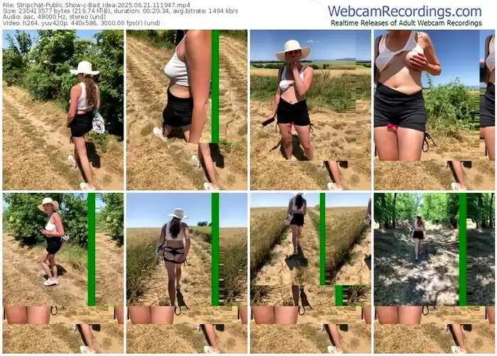 stripchat-bad_idea-06-21-2025-11-19-47