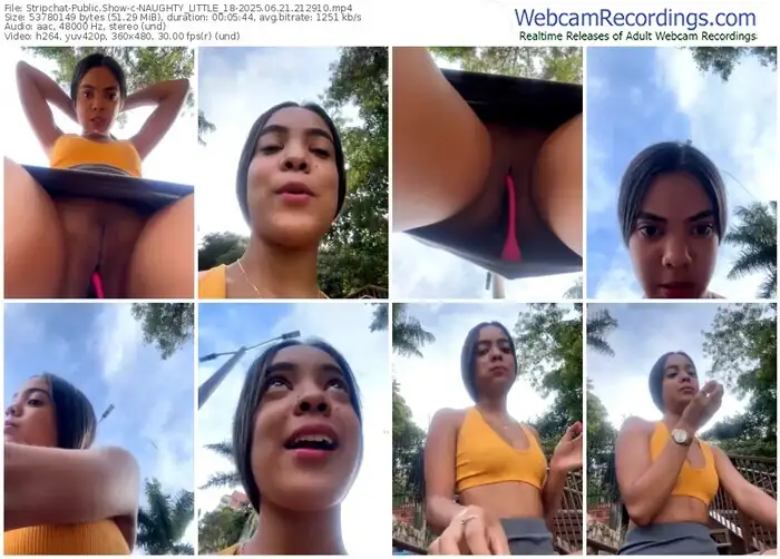 stripchat-naughty_little_18-06-21-2025-21-29-10