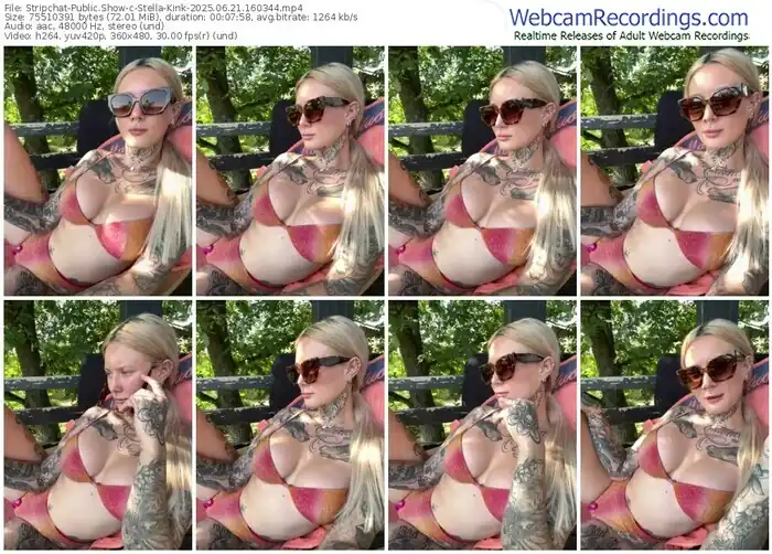 stripchat-stella-kink-06-21-2025-16-03-44