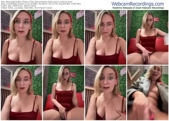 stripchat-the_snowwhitee-06-21-2025-21-01-04
