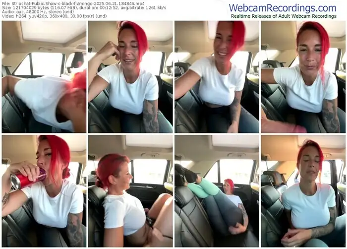 stripchat-black-flamingo-06-21-2025-18-48-46