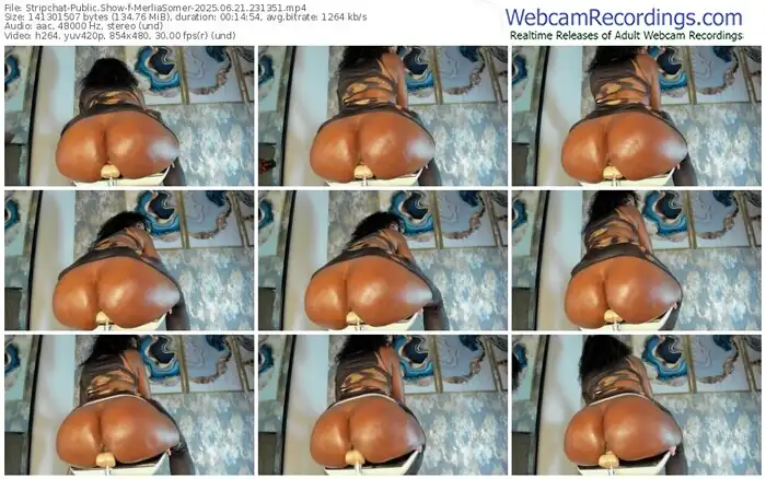stripchat-merliasomer-06-21-2025-23-13-51