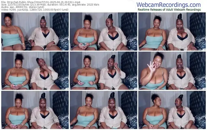 stripchat-misstiti01-06-21-2025-01-03-11