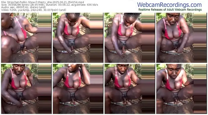 stripchat-sherry_she-06-21-2025-05-41-54