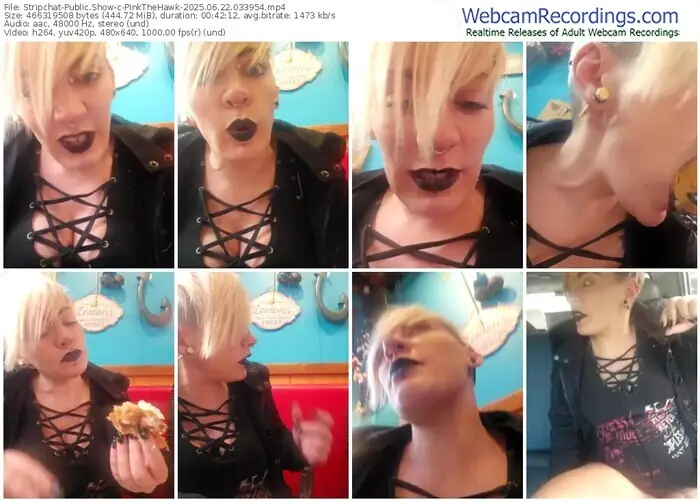 stripchat-pinkthehawk-06-22-2025-03-39-54