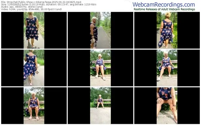 stripchat-siberia-taiga-06-22-2025-04-38-25