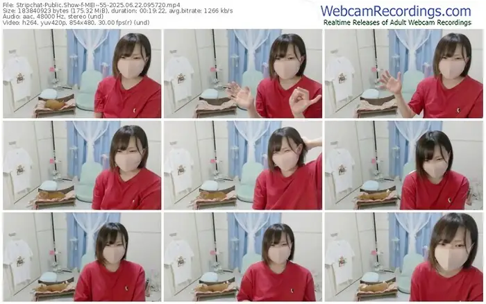 stripchat-mei--55-06-22-2025-09-57-20