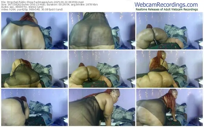 stripchat-wilmaassylum-06-22-2025-06-35-50