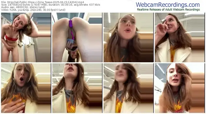 stripchat-dina_tease-06-23-2025-14-20-42