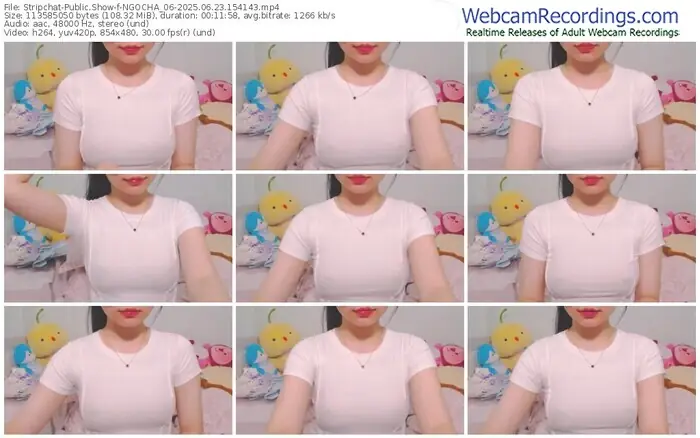 stripchat-ngocha_06-06-23-2025-15-41-43