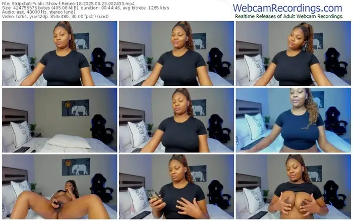 stripchat-renee-18-06-23-2025-00-24-33