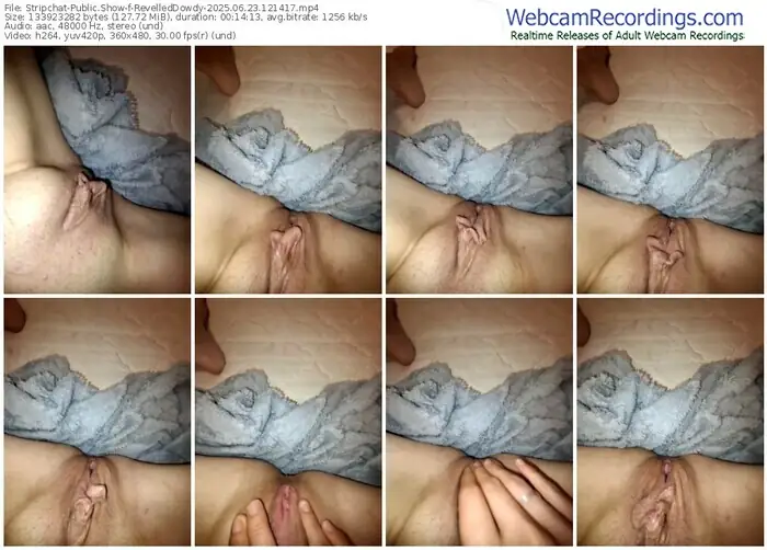 stripchat-revelleddowdy-06-23-2025-12-14-17