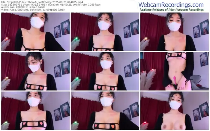 stripchat-_lostcherry-06-23-2025-09-48-25