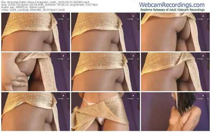 stripchat-magnetic_noah_-06-23-2025-20-59-05