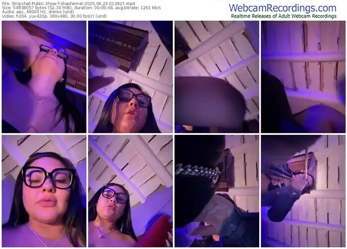 stripchat-shashemel-06-23-2025-01-38-27