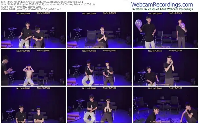 stripchat-perfectboy-88-06-23-2025-18-22-48