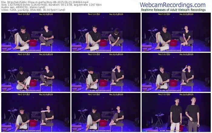 stripchat-perfectboy-88-06-23-2025-20-40-44