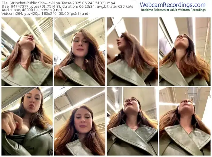 stripchat-dina_tease-06-24-2025-15-18-21