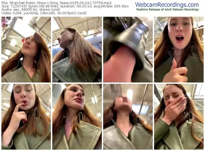 stripchat-dina_tease-06-24-2025-17-07-56