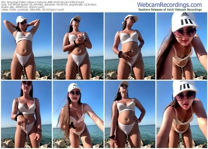stripchat-fortune_888-06-24-2025-14-30-19