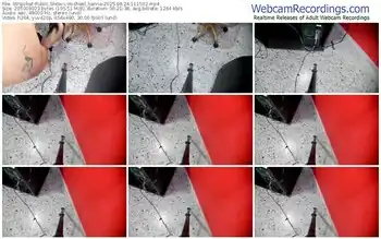 stripchat-michael_hanna-06-24-2025-11-15-02