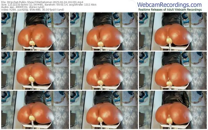 stripchat-merliasomer-06-24-2025-19-10-31