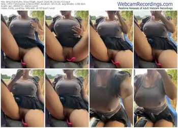 stripchat-nabi_squirt-06-24-2025-09-17-02