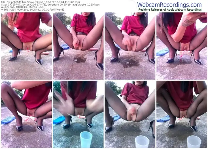 stripchat-silina_102-06-24-2025-11-31-02